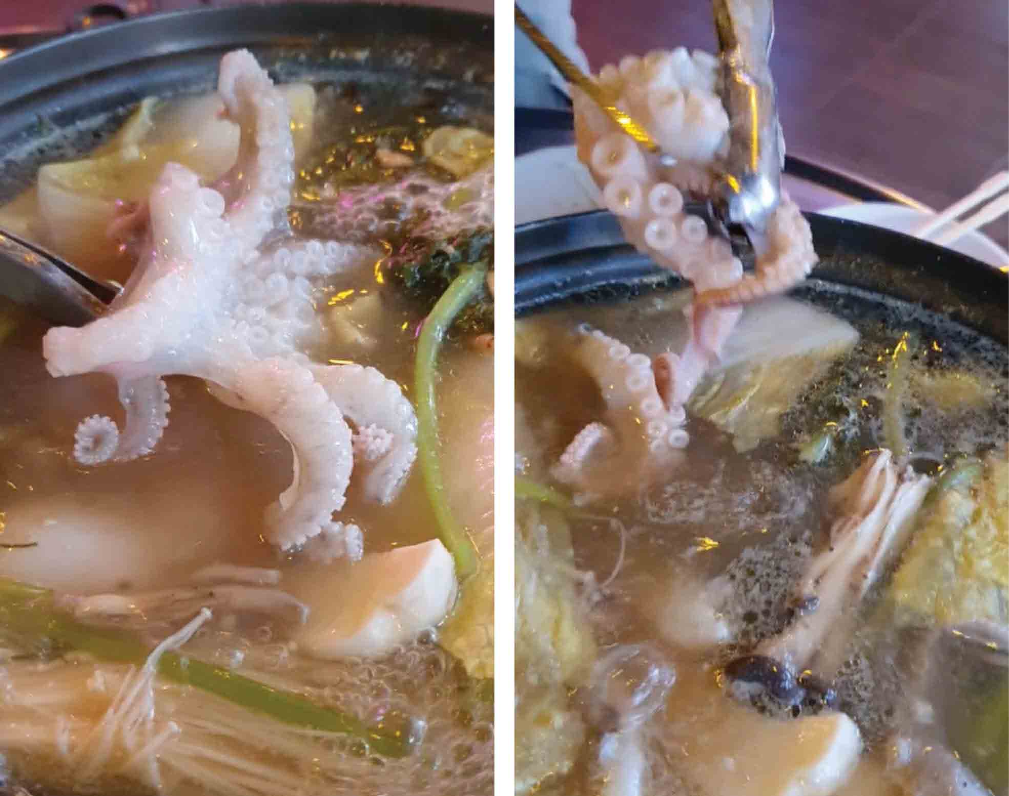망원세꼬시해물포차_홍대민15.jpg